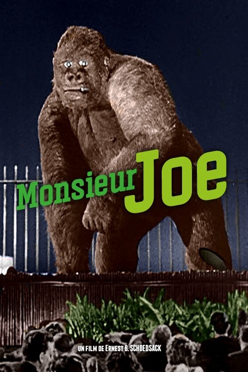 Monsieur Joe