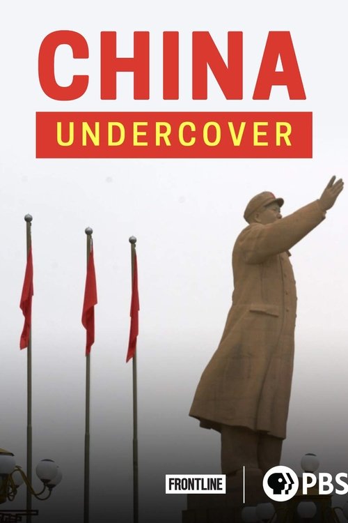 China Undercover poster