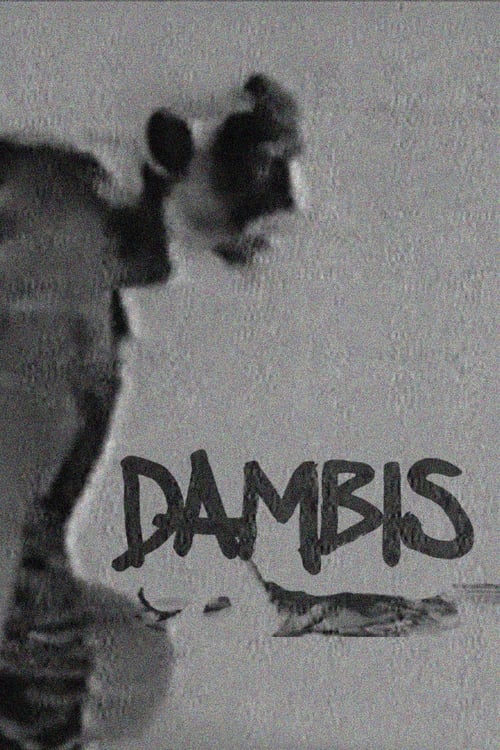 Dambis 2008