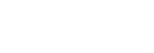 Fast & Furious Presents: Hobbs & Shaw