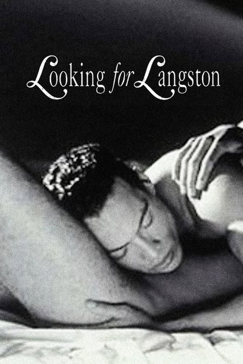 Poster Looking for Langston 1989