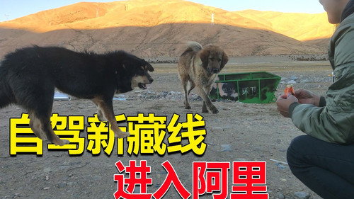 Episode 207