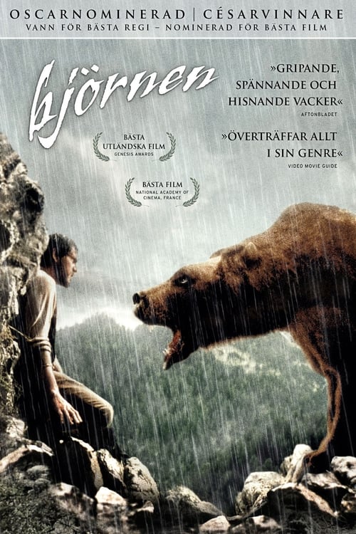 The Bear poster