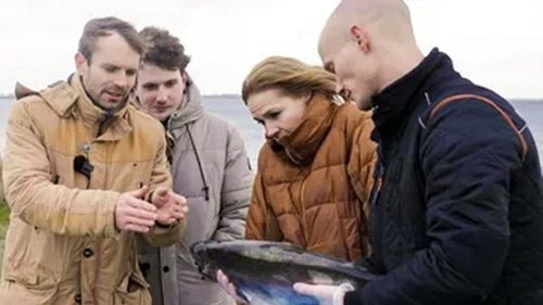 Image de l'épisode 4