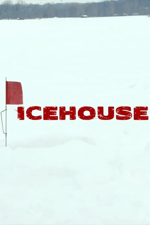 Poster Icehouse 2011