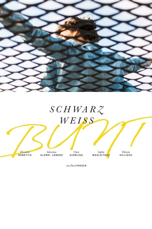 Schwarz Weiss Bunt poster