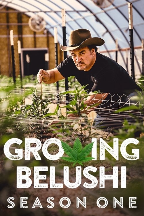 Growing Belushi - Saison 1