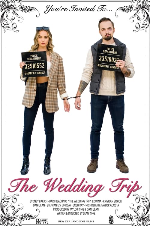 The Wedding Trip Poster