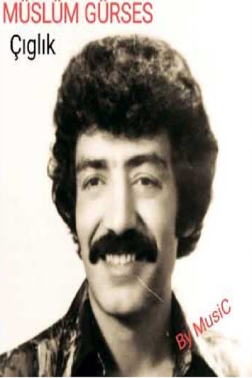 Çığlık movie poster player