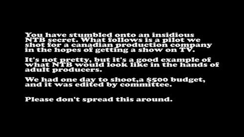 Money Well Wasted (TV Pilot)