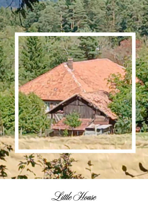 Little House