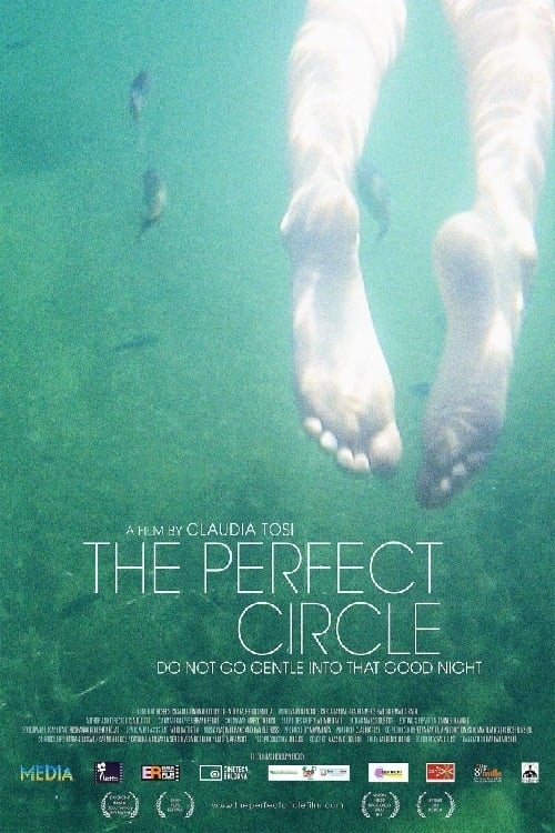 The Perfect Circle (2013)