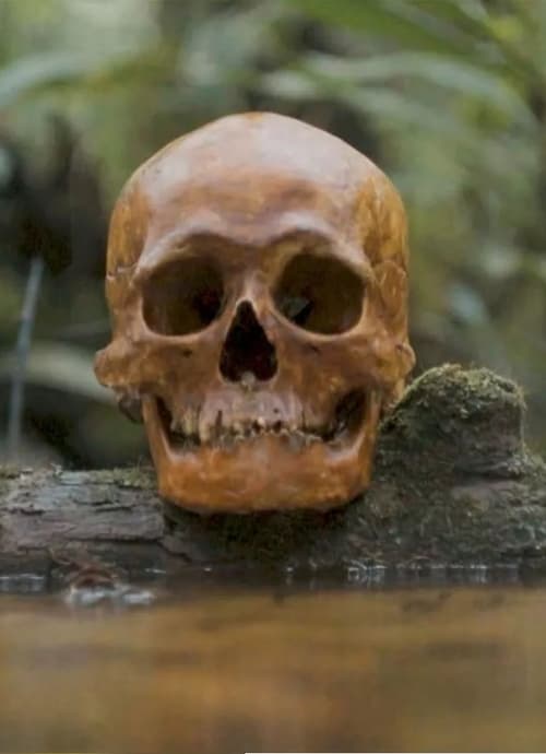 A Skull (2021)