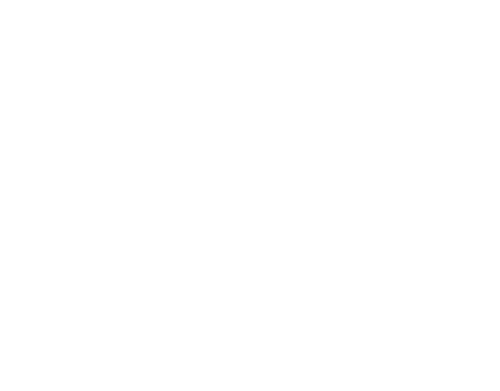 السيد روبوت