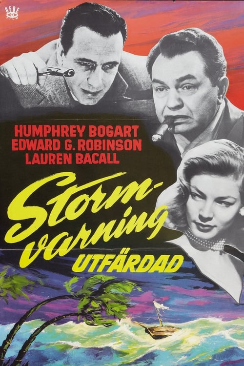 Stormvarning utfärdad