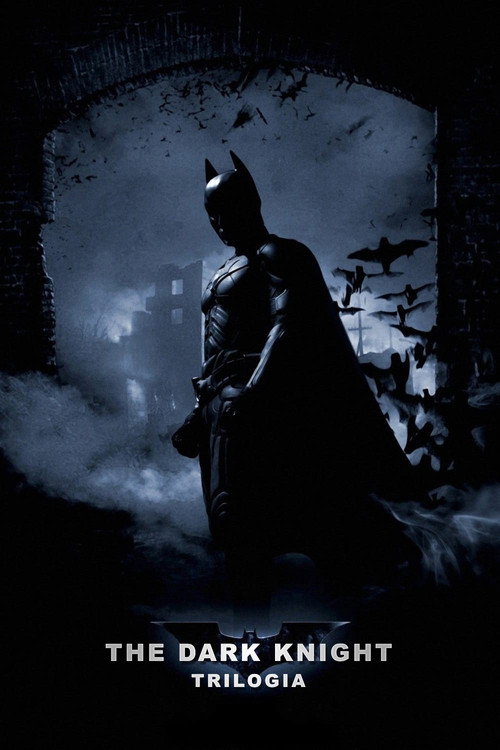 Batman - Il cavaliere oscuro - Collezione
