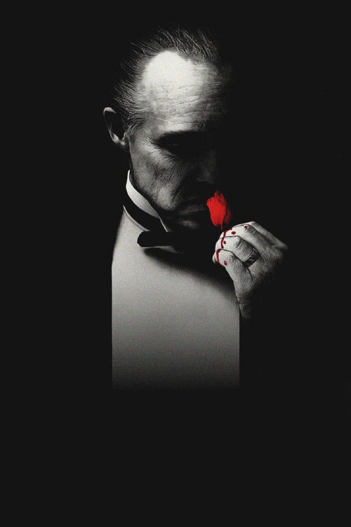 Pòster de El padrí - Col·lecció