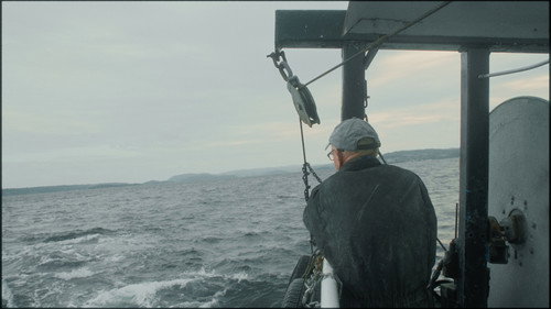 Caught in the net — Backdrops 14