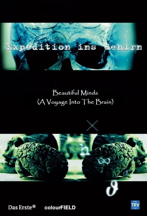 Beautiful Minds - Voyage into the Brain (2006)
