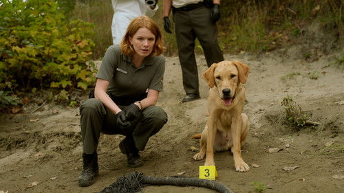 Blue Skies S01E04 backdrop