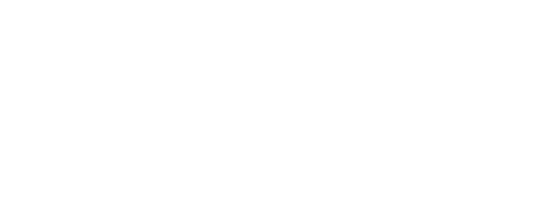 The Woman in the Wall