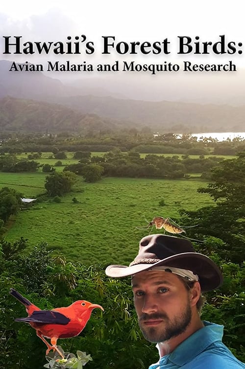 Poster Hawaii's Forest Birds: Avian Malaria and Mosquito Research 2018