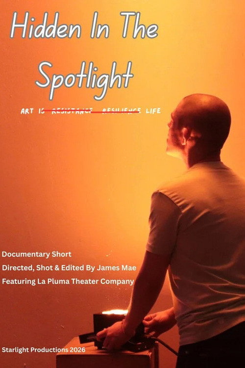 Hidden In The Spotlight