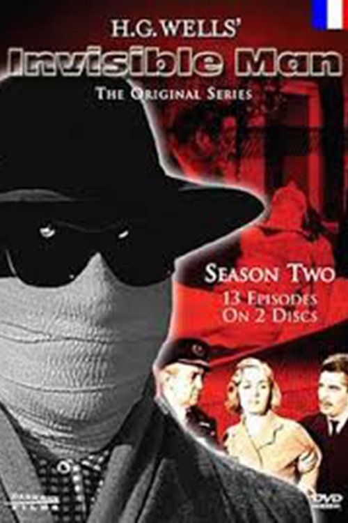 Where to stream The Invisible Man Season 2