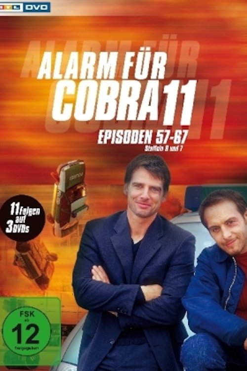 Poster de la Temporada 8 en la serie Alerta Cobra