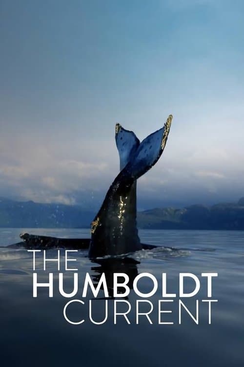 Poster The Humboldt Current