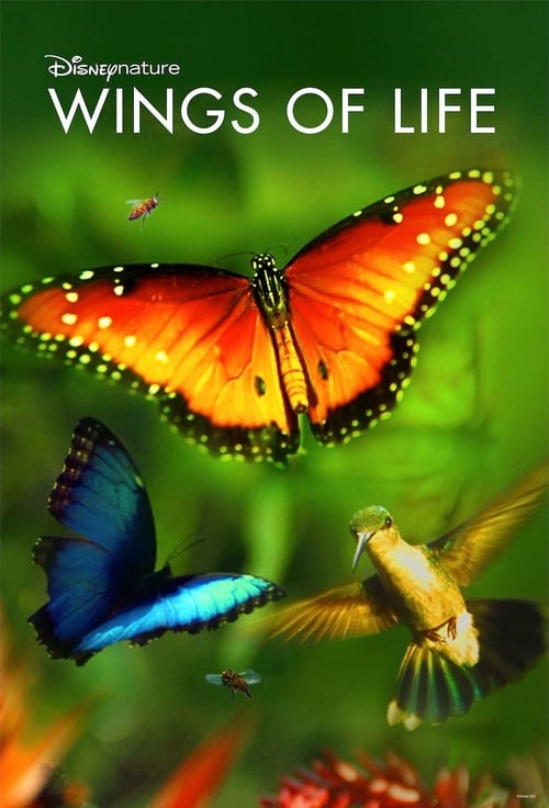 Wings of Life Movie Poster Image