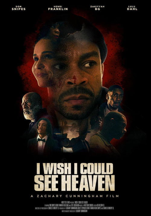 Affiche du film I Wish I Could See Heaven
