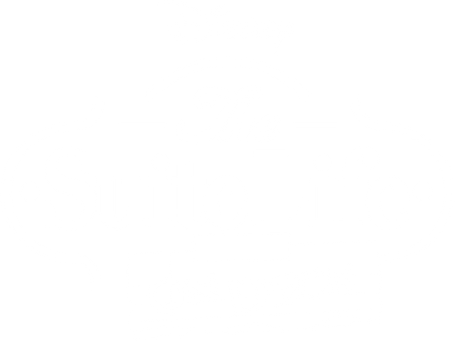 Zack e Cody: Gêmeos a Bordo - Logo 6