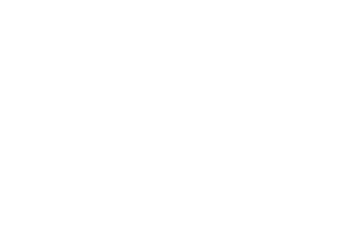 The Dazzling Light of Sunset