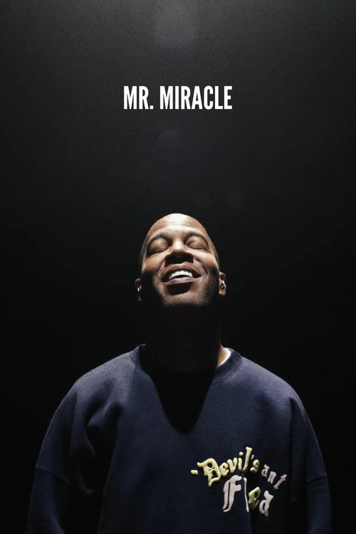 Mr. Miracle poster
