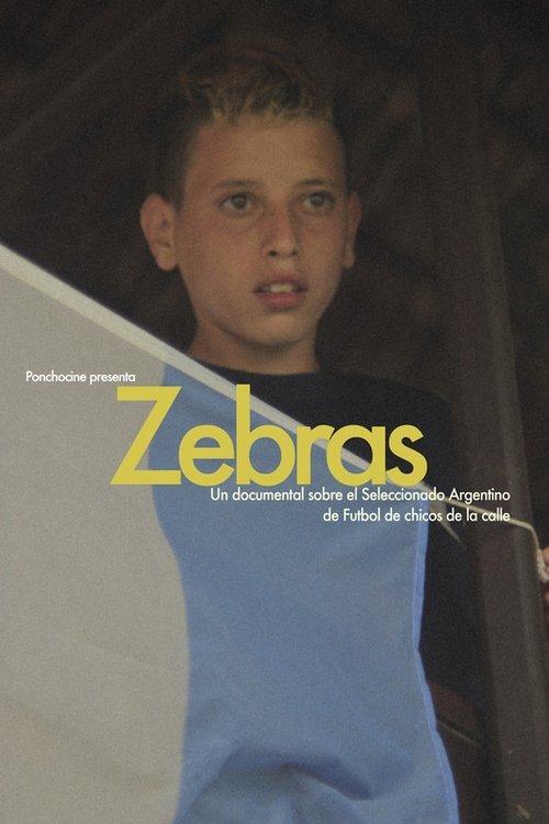 Zebras movie poster player