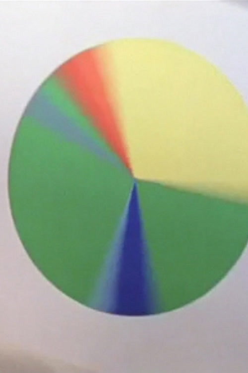 Searching for White poster