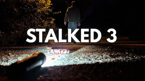 STALKED 3