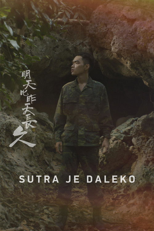 Tomorrow Is a Long Time poster