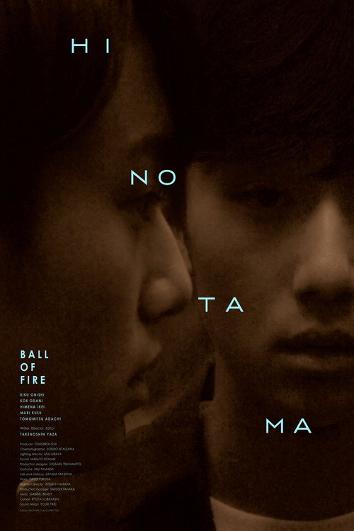 Affiche de 火の玉を見た