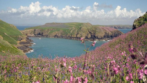 Le pays de Galles sauvage