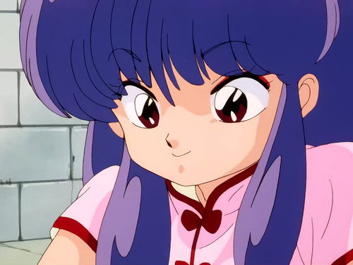Photo 254
