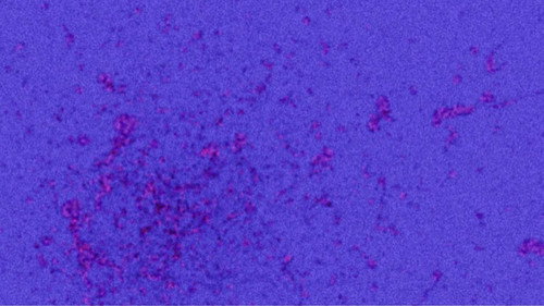 Jaquette BE - VOLUME ONE