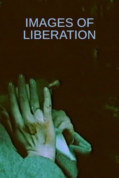 Images d'une libération (1982)