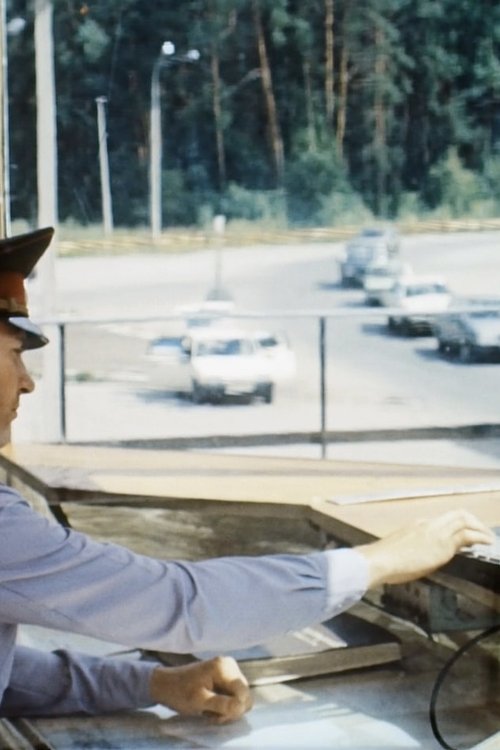 Search and apprehension of stolen vehicles (1996) poster