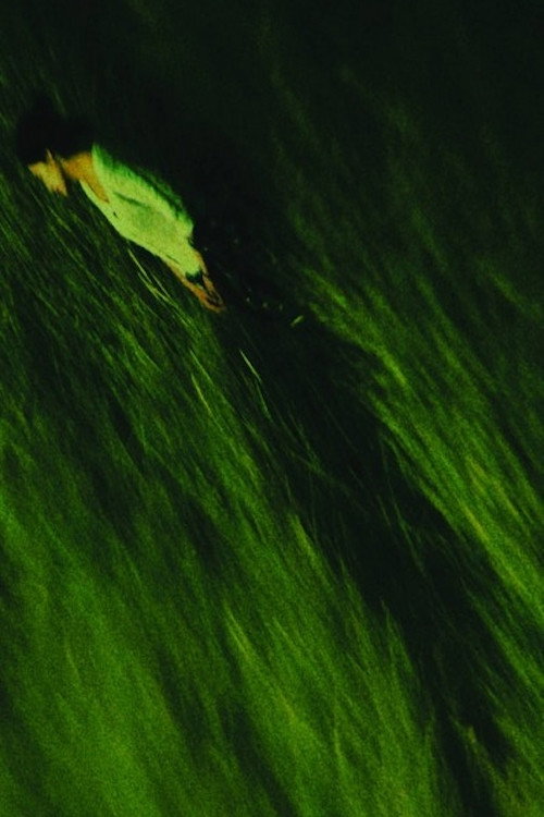 Green Thoughts