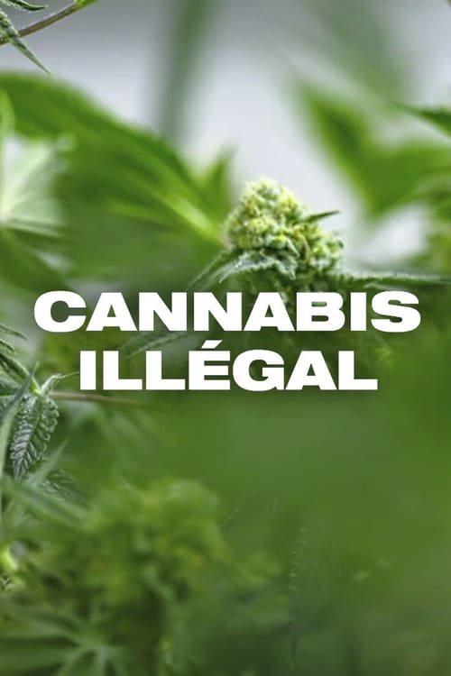 Cannabis illégal 2019