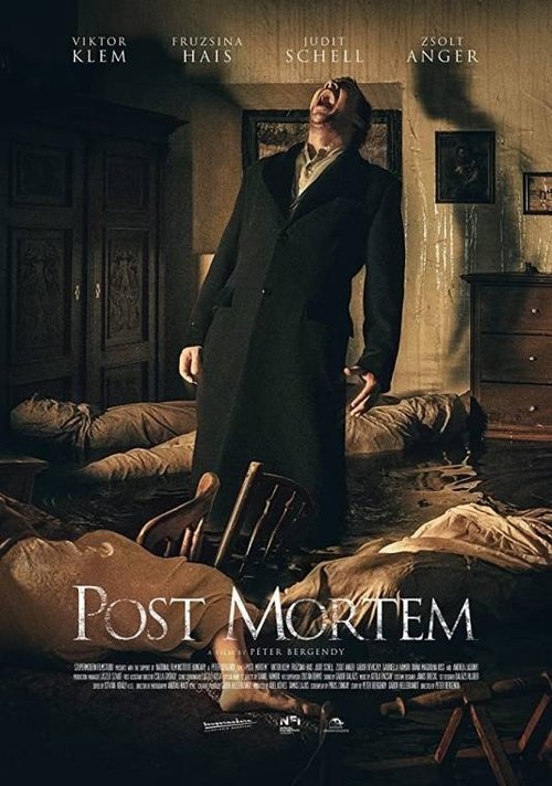Post Mortem movie poster player