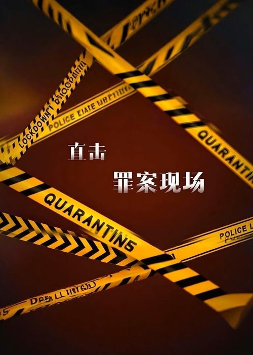 直击罪案现场 (2024) poster
