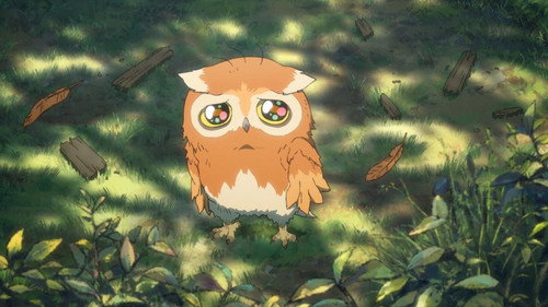 The Keeper of the Camphor Tree